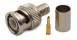 BNC Male/Plug (75 ohm, crimped on RG-6 cable)